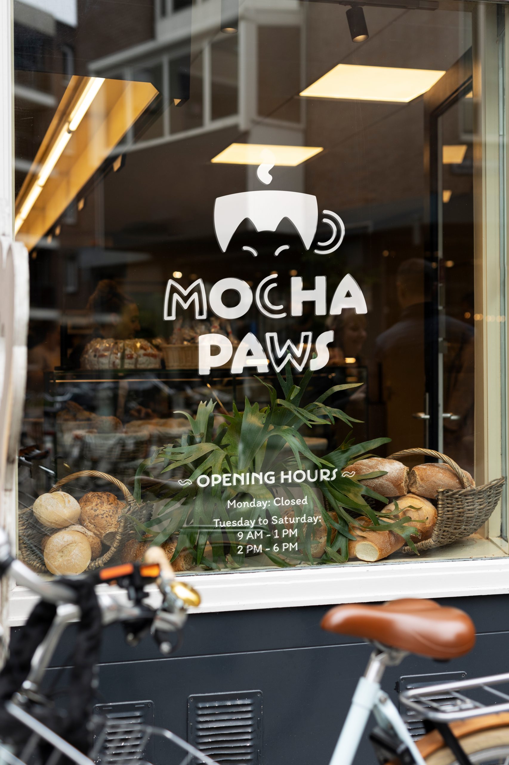 Mocha Paws window display with a white logo and infos for opening hours